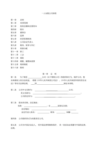 外商投资企业一人有限责任公司章程(设董事会)