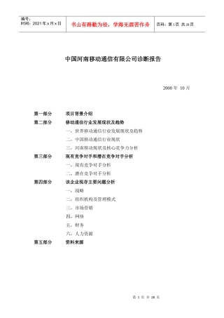 某某移动通信有限公司诊断报告