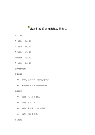 某机场项目市场定位报告
