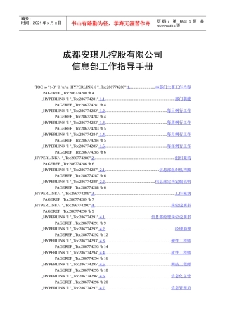 某某控股有限公司信息部工作指导手册