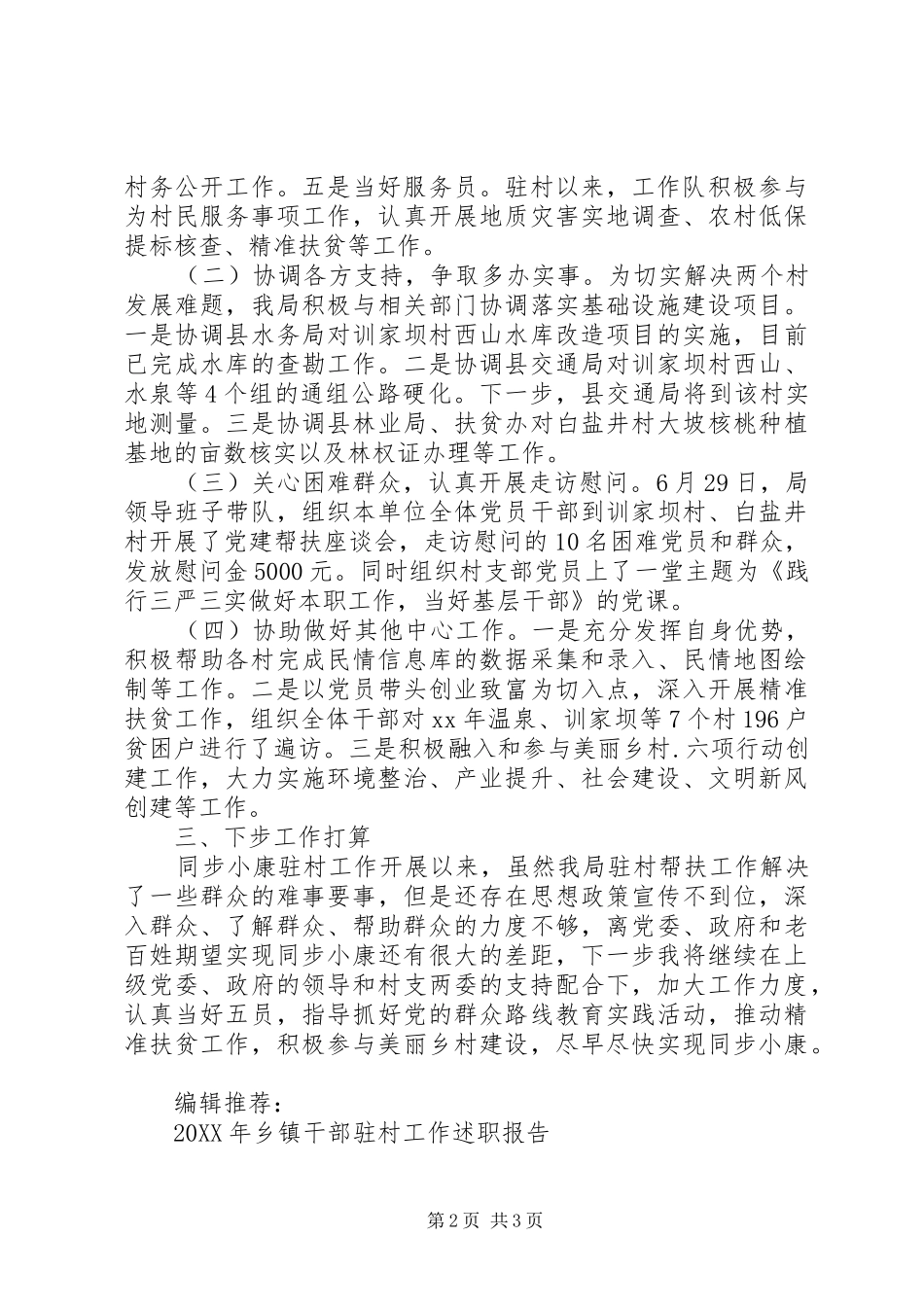驻村工作队述职报告_第2页