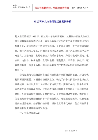 某某公司东北市场渠道运作案例分析