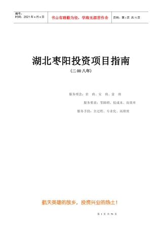 某某年湖北某公司投资项目指南