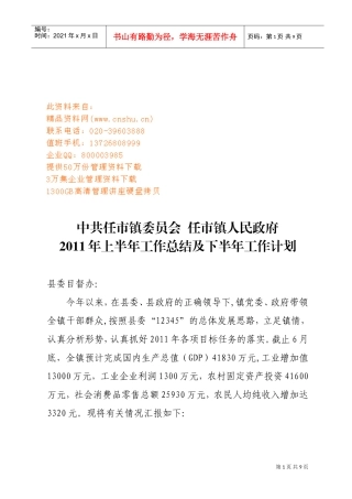 某某人民政府上半年工作总结与下半年工作计划