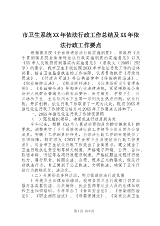 市卫生系统依法行政工作总结及依法行政工作要点