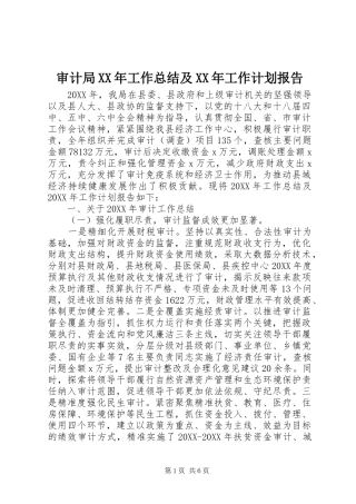 审计局工作总结及工作计划报告