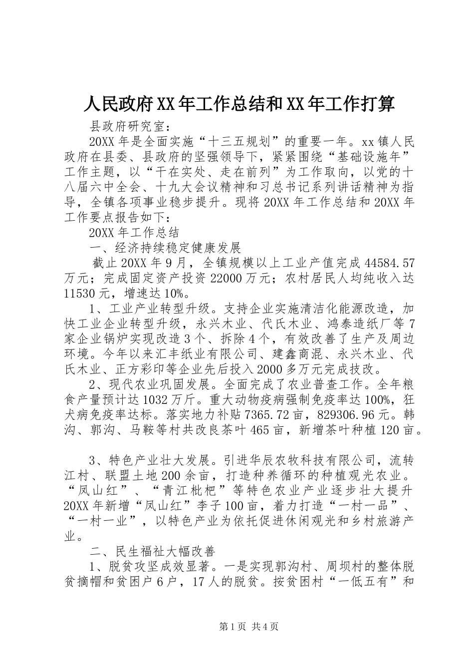 人民政府工作总结和工作打算_第1页