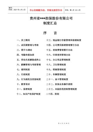 某担保股份有限公司制度汇总