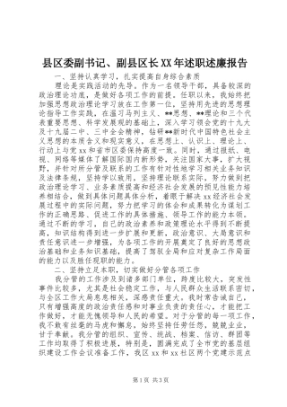 县区委副书记副县区长述职述廉报告