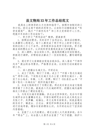 县文物局工作总结范文