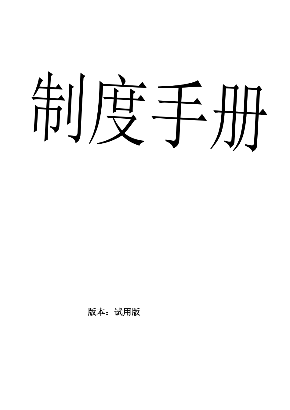 某某公司制度手册_第1页