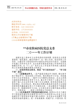 某某市皮肤病医院党总支委年度工作计划