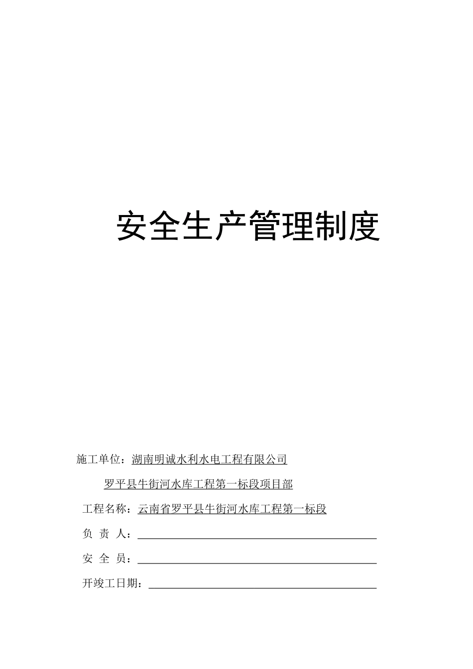 某水利水电工程有限公司安全生产管理制度汇编_第1页