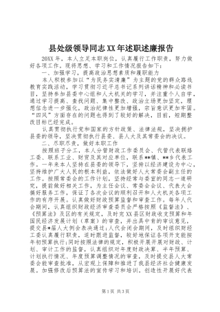 县处级领导同志述职述廉报告