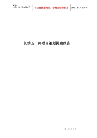 某某路项目策划提案报告