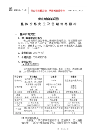 某某项目价格定位报告