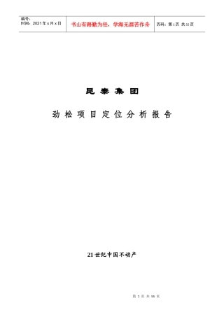 某某集团劲松项目定位分析报告