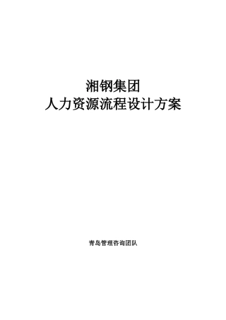 某某钢材集团人力资源流程设计方案