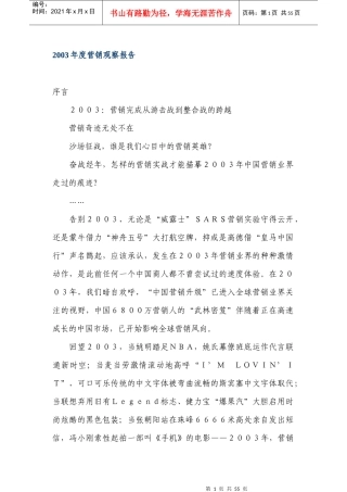 某某年度营销观察报告