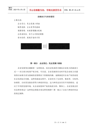 某母子公司管控竞争策略