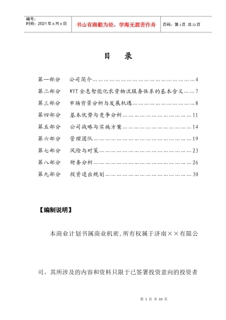 某某商业计划书