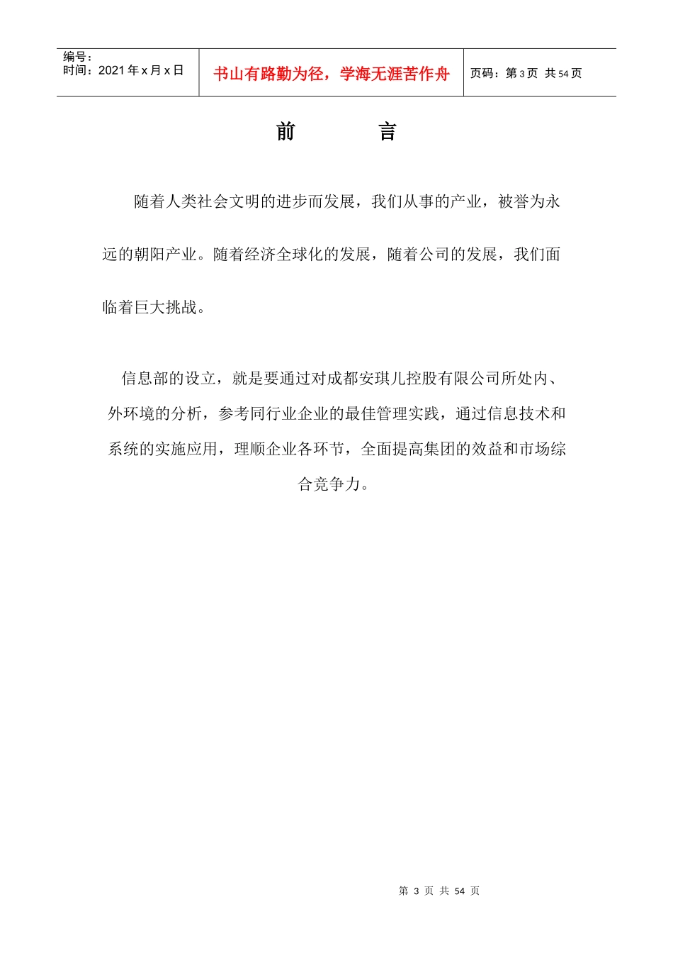 某控股有限公司信息部工作指导手册_第3页