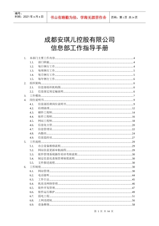 某控股有限公司信息部工作指导手册