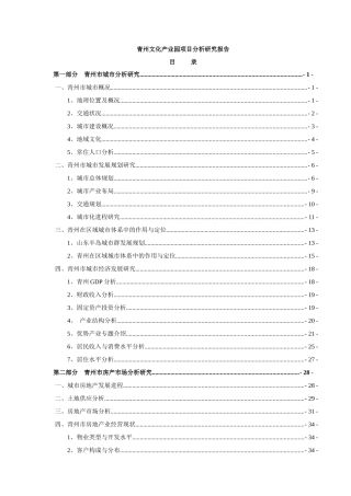 某文化产业园项目分析研究报告