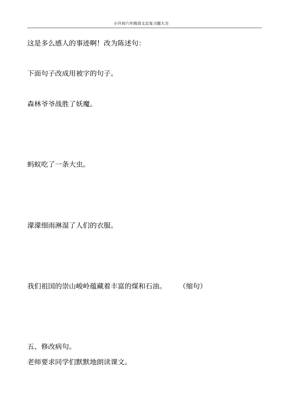 小升初六年级语文总复习题大全242_第2页