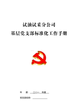 某某试油试采公司基层标准化工作手册