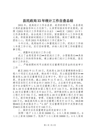 县民政局统计工作自查总结