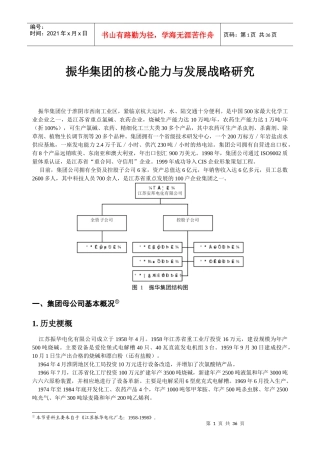 某某集团的核心能力与发展战略研究(1)