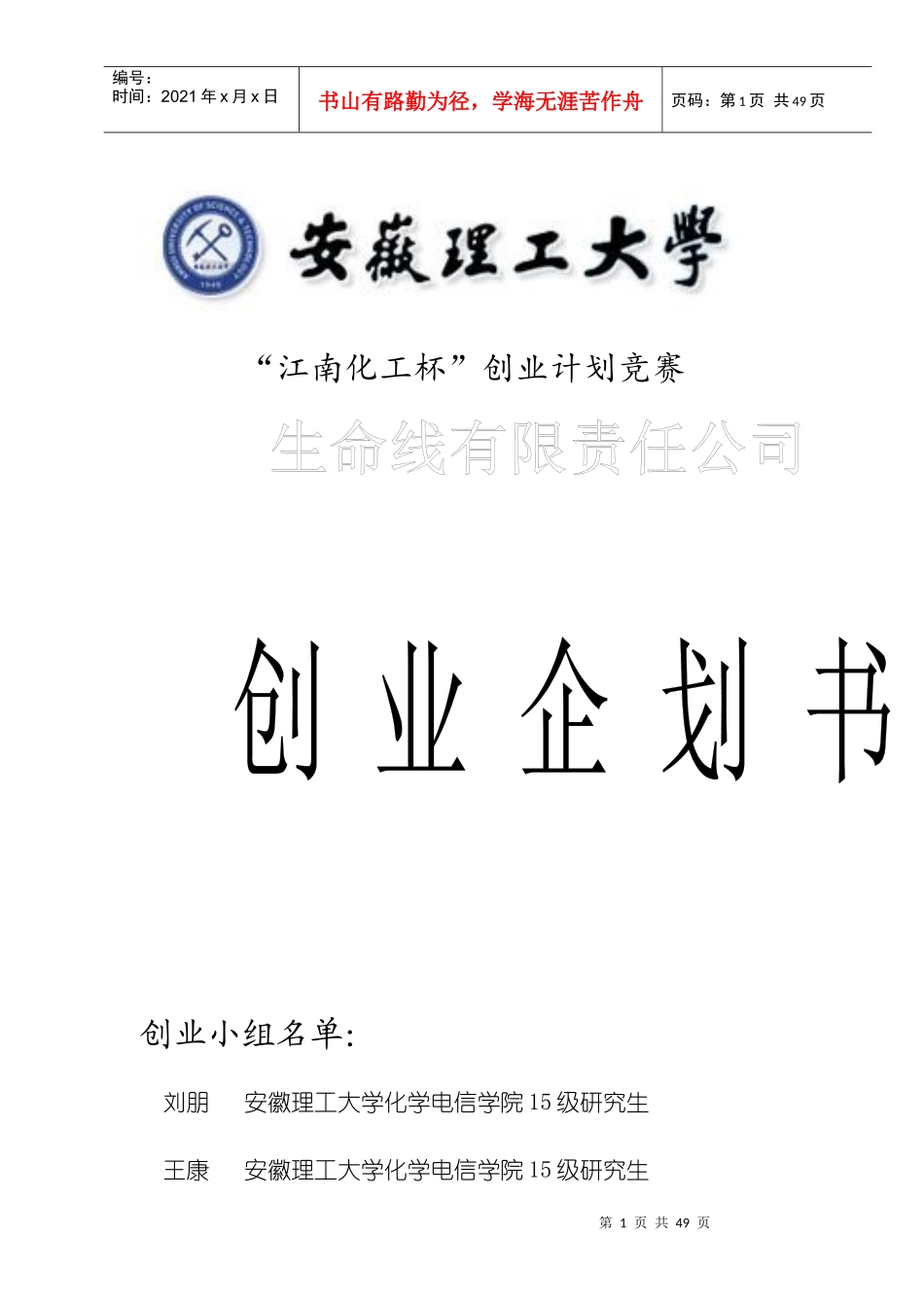 某有限责任公司企划书_第1页
