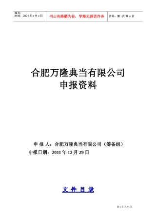 某某典当有限公司申报范本介绍