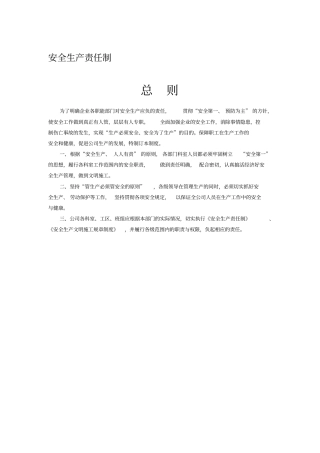 市政工程安全生产责任制总表