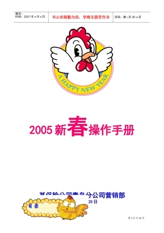 某某保险公司新春操作手册