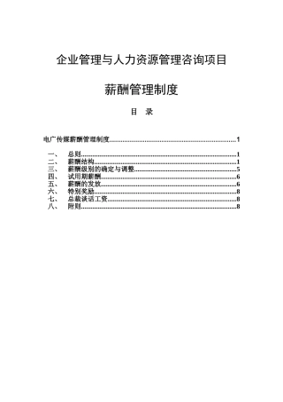 某某电广传媒公司薪酬管理制度