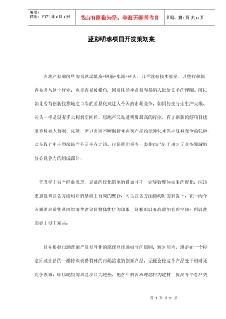 某某项目开发策划案