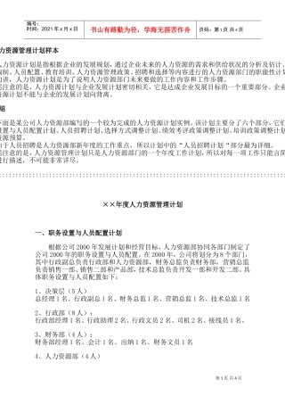 某某公司年度人力资源管理计划