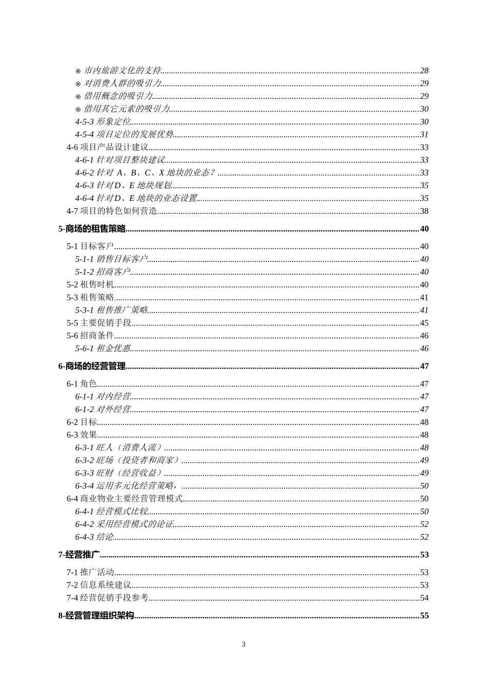 某某街项目策划初案_第3页