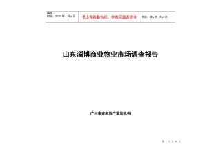 某房地产策划机构物业市场调查报告
