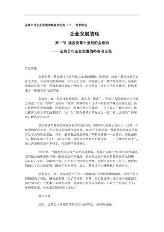某有限公司企业发展战略咨询报告