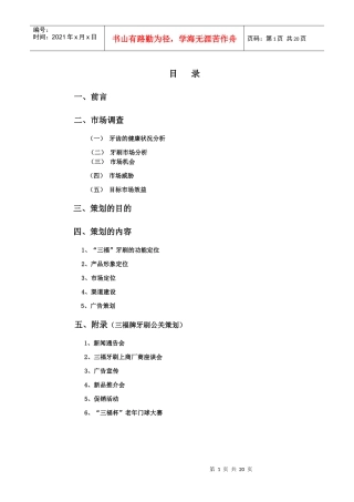 某牙刷新品上市策划方案