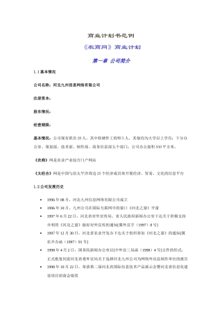 某著名咨询公司-河北九州-商业计划书