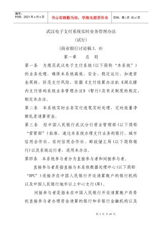 某电子支付系统实时业务管理办法