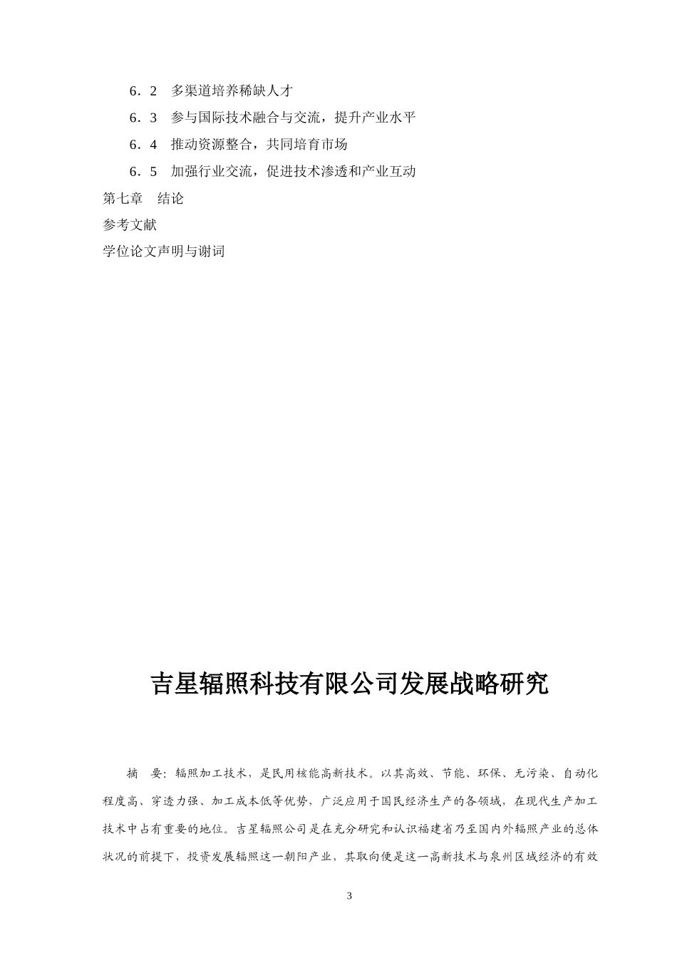 某科技有限公司发展战略研究论文_第3页