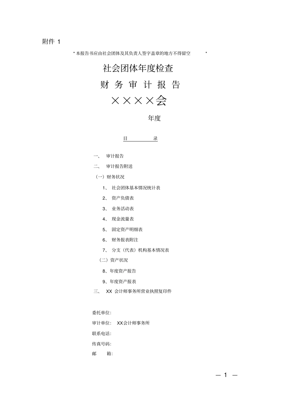 全省性社会团体年度财务2019年审计报告模板_第1页