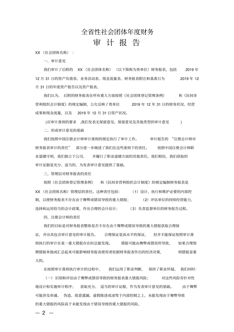 全省性社会团体年度财务2019年审计报告模板_第2页