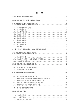 某电子公司信息行业报告