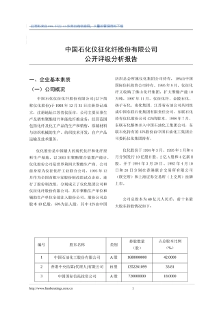 某石化股份公司公开评级分析报告